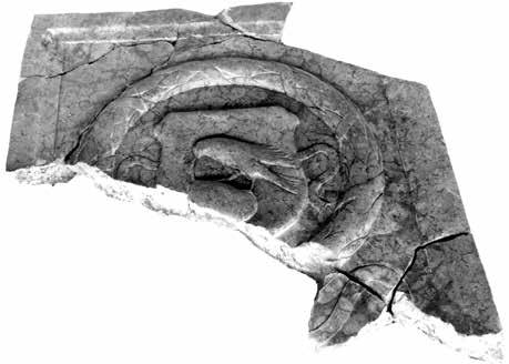 408 24. kép. Síremlék töredéke koszorúba foglalt címerrel a pécsi domonkos templomból, 16. század első negyede. Pécs, Janus Pannonius Múzeum bármilyen szerepe a pécsi faragványok körül?