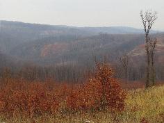 fajtája: könnyű, viszonylag kis szintemelkedéssel. Táv: 10 km. Szintemelkedés: 140 m. Túravezető: Gayer Éva Október 13. vasárnap: a Baranyai Sárga túra 7.