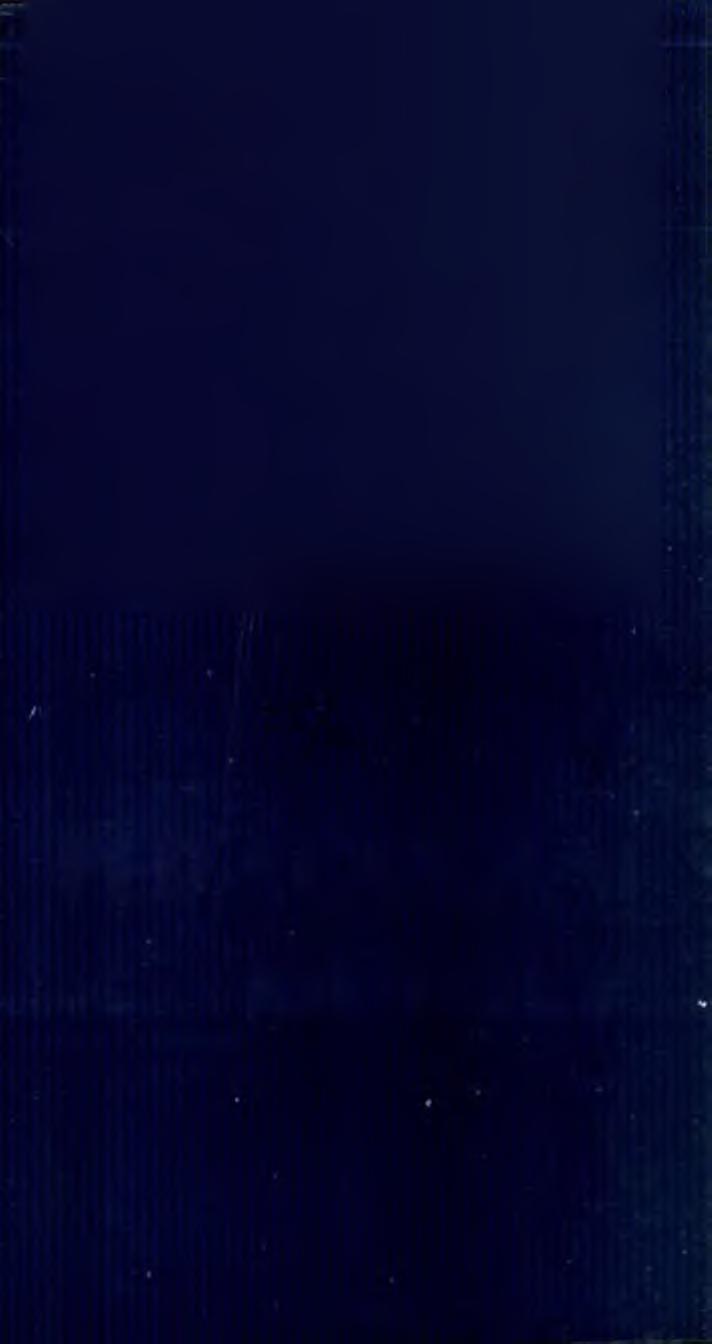 'V