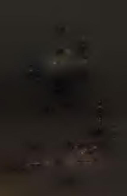 96