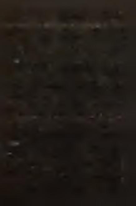 valamit. Mi vállaltuk de nagy gondban vagyok emiatt. Miből? Ez a kérdés.