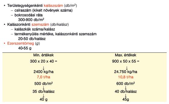 Periódus Régi fajta (GK Öthalom) Új fajták átlaga Különbség Természetes tápanyag-hasznosítás (kontroll) 3750 4500 +750 Maximális termés 6800 8600 +1800 Mtr.