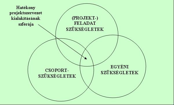 A szervezeti projektproblémák sikeres megoldása lehetetlen kreatív és munkabíró emberi erőforrások igénybevétele nélkül, ezért e tankönyv jelen fejezete a projektbe bevont alkalmazottak és vezetők