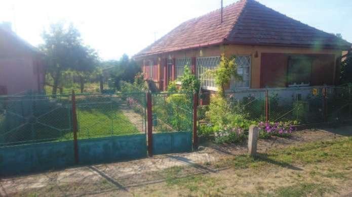 A meglévő fásszárú növényzetre a bővítések és felújítások során