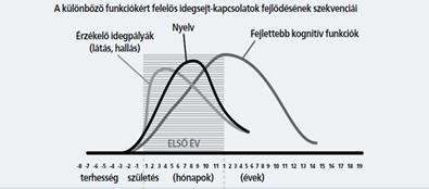 Összességében elmondható, hogy az észleletek olyan információkat közvetítenek a világ tárgyairól és a környezetben bekövetkező eseményekről, melyek magasabb szintű kognitív műveletek alapját képezik.