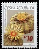 asterias (Kambodzsa) 6. A.