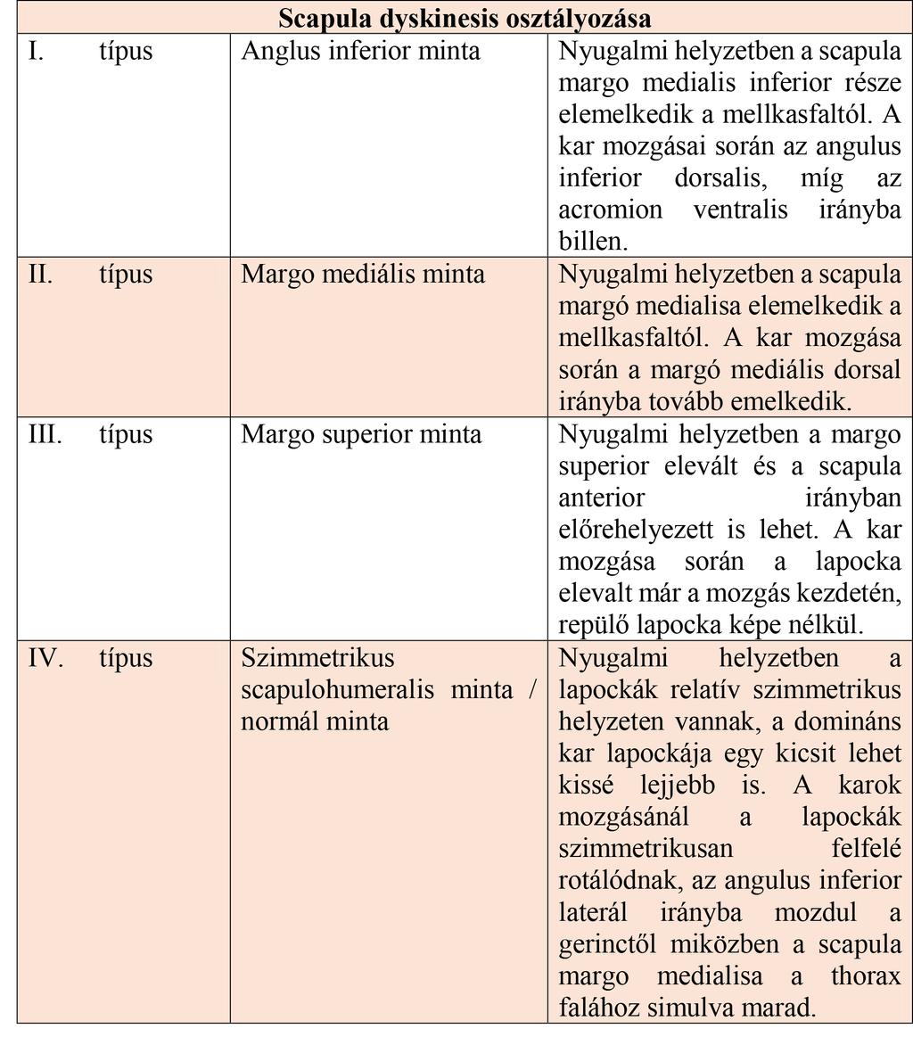 Dr. Leidecker Eleonóra 1. táblázat. Uhl T.L., Kibler W.B., (2009). The role of the scapula in rehabilitation. In Wilk K.E., Reinold M.M., Andrews J.R.: The athlete s shoulder.