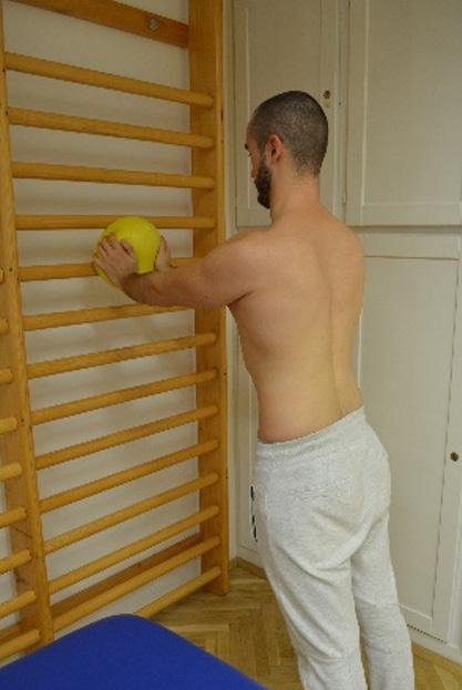 Nagyízületek ortopédiai fizioterápiája váll, csípő, térd anterior területét, nő a ROK kompresszió lehetősége, csökken a váll komplex neuromuscularis képessége. A scapula fő stabilizátor izomzata a m.