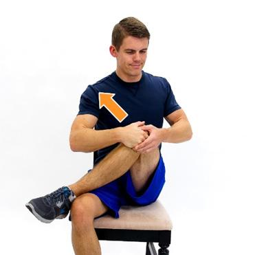 Dr. Leidecker Eleonóra XIII. FEJEZET: PIRIFORMIS SZINDRÓMA A tünetegyüttesre jellemző a hátulsó csípő tájékon, fartájékon jelentkező fájdalom.