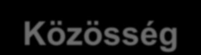 Közösség (Society) Fontos hosszúidejű (félig) nyílt rendszer Ágensek: eltérő racionalitás, célok, heterogén képességek Ágensek jönnek/mennek, de a közösség folyamatosan létezik a találkozás és a