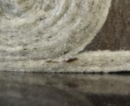 verlegten Böden. Das Original. Stärke 3,5 mm mit Natronkraftpapier an der Oberseite.