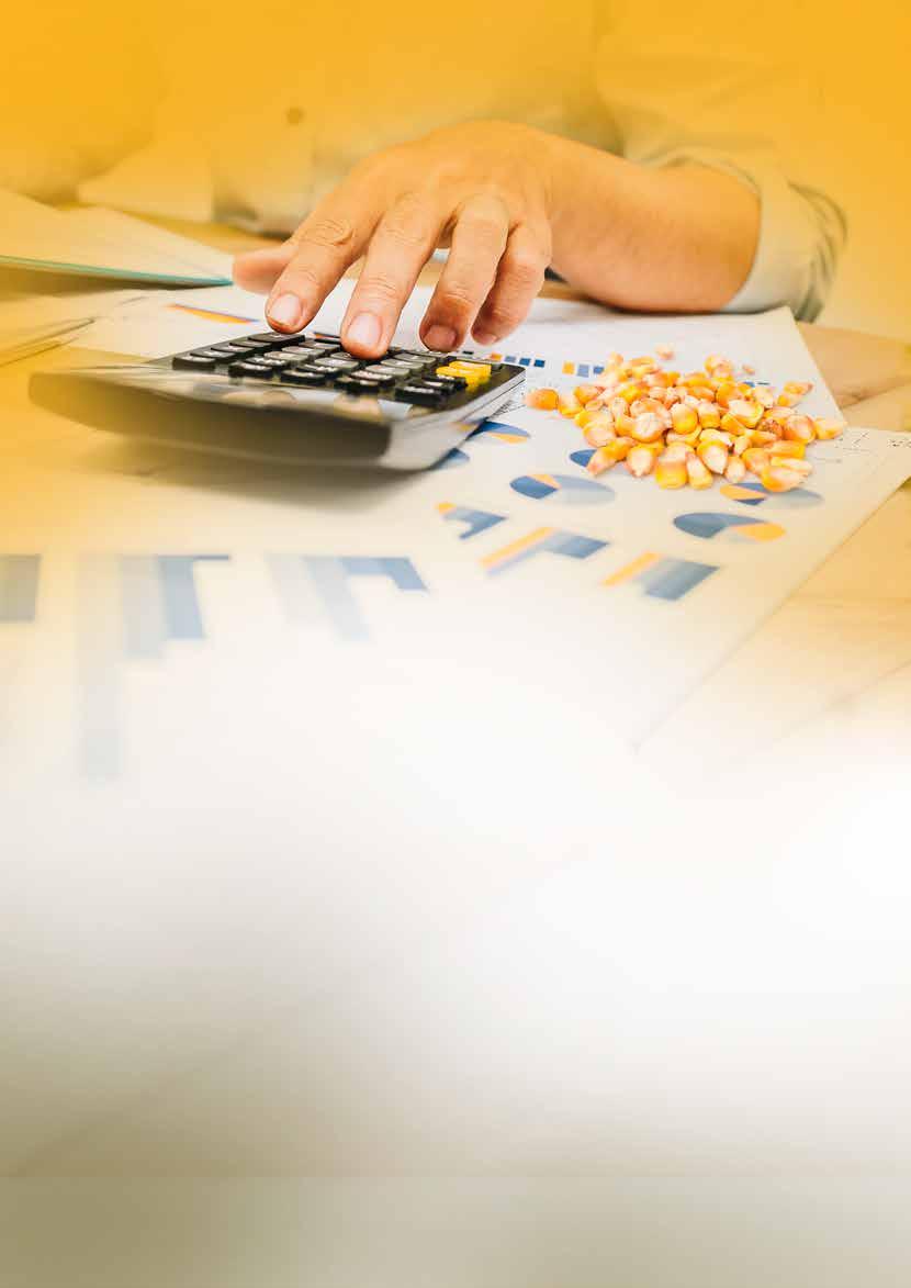 Pioneer hibridekkel a sikeres kukoricatermesztésért