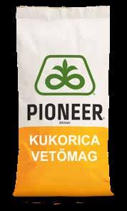 termés, alacsony betakarításkori szemnedvességgel.