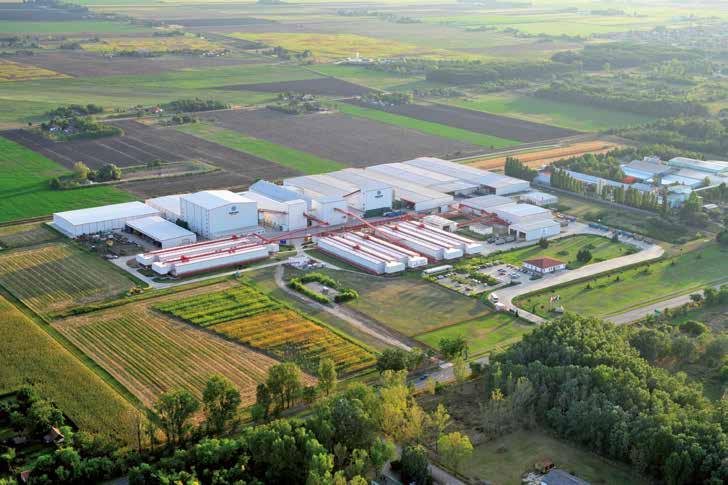 Kiváló minőségű vetőmag itthonról Pioneer Hi-Bred Termelő és Szolgáltató Zrt.