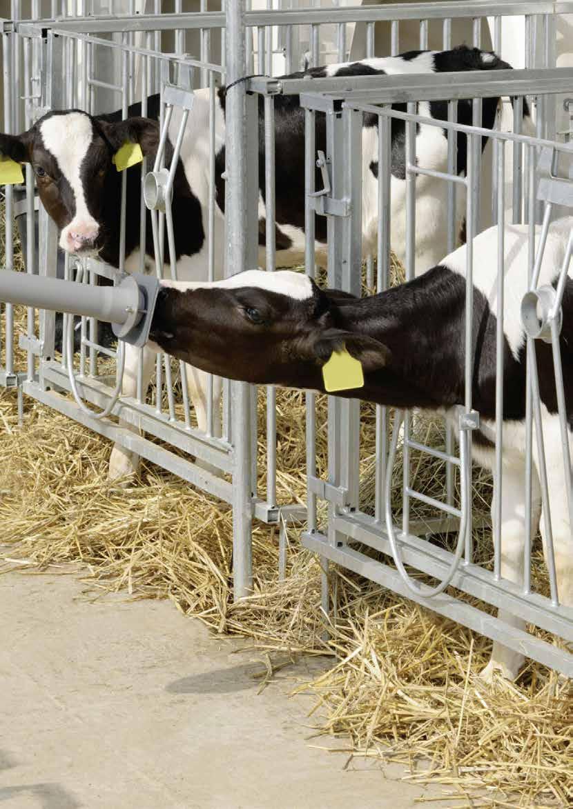 26 TERMÉKEK AD LIBITUM ITATÁSHOZ A Sano Metabolikus Sprint koncepció kombinálja a magas minőségű, könnyen emészthető tejpótlót melyet funkcionális aktív hatóanyagok egészítenek ki a borjú egészségért