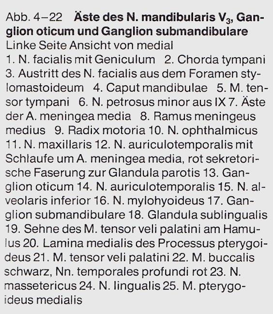 ezzel az ággal: radix sensoria: Rr.