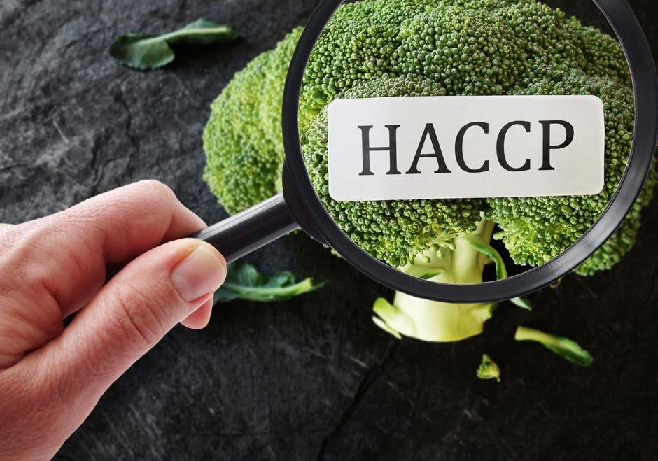 Döntési fa (lépcső): Egymás után következő kérdések (Q1, Q2, Q3, Q4 az angol question szóból, vagy magyarul K1, K2, K3, K4 -a magyar kérdés szóból származtatva) sorozata, amelyet minden azonosított