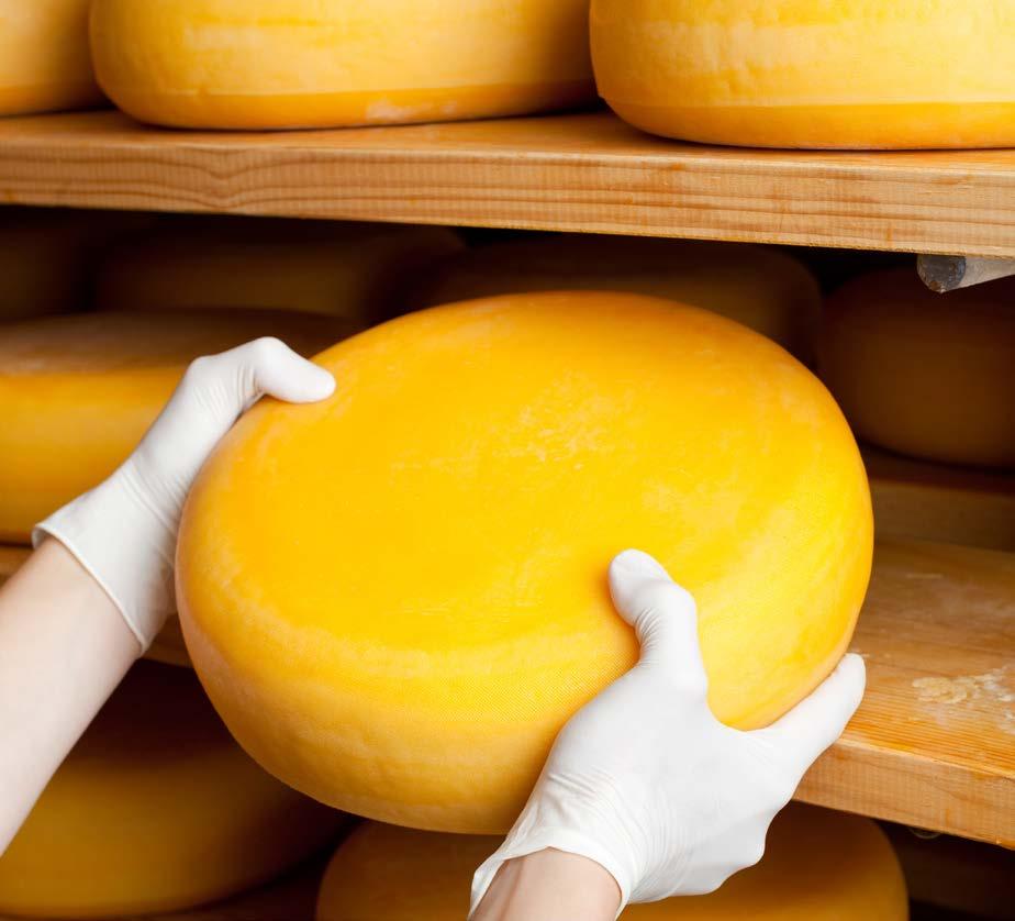 7. HACCP