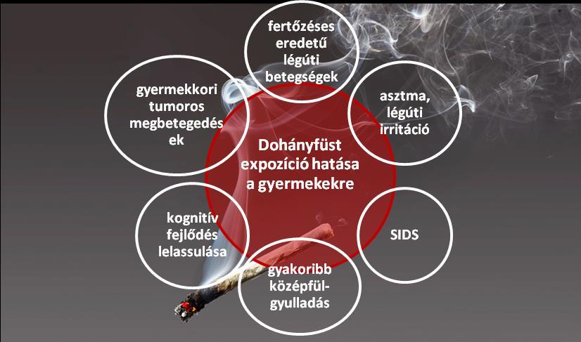 193 27. ábra Az expozíció hatásai koragyermekkorban 54 Az elektronikus cigaretta használatának rövid múltja miatt a hatástani elemzések olykor ellentmondásos eredményeket közöltek.