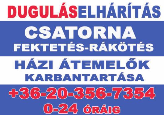 ASZTALOS ÉS