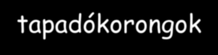 A külső
