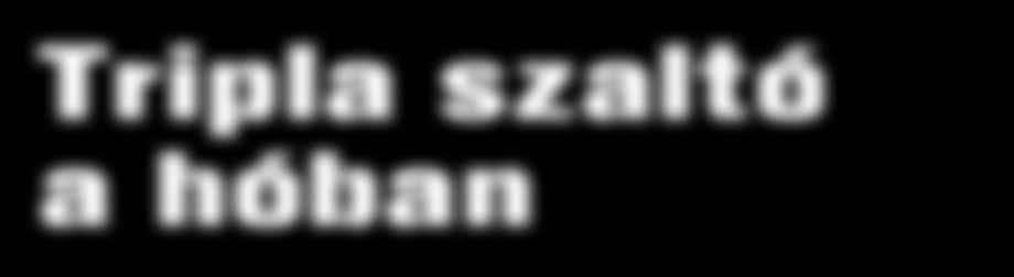 veszélyhelyzet után sem fejezte be tevékenységét a Gondoskodó Szolgálat Kecskeméten.