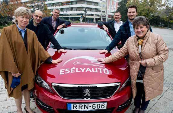 Az erdő megújításával kapcsolatban két lehetséges megoldást vázolt a szakbizottságok asztalára került előterjesztés.