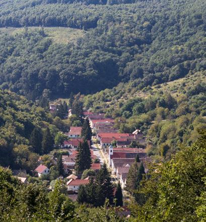 míg a Cigány-hegy (524 m) ellaposodó tetején meg nem látjuk a kilátó-tornyot (9,3 km). A tetőről vissza kell ereszkednünk a műútig (300 m), azon balra, a fából faragott Szt.
