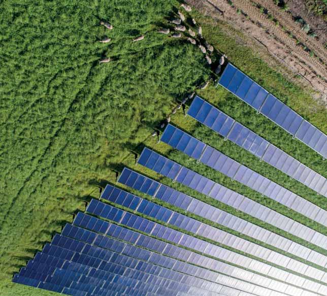negyedével számolhatunk. A dán kormányzat 2025-re kívánja elérni a 2100 MW-os teljesítményt, ami a Paksi Atomerőmű kapacitásánál is nagyobb (igaz, villamos energiából kevesebbet szolgáltat).