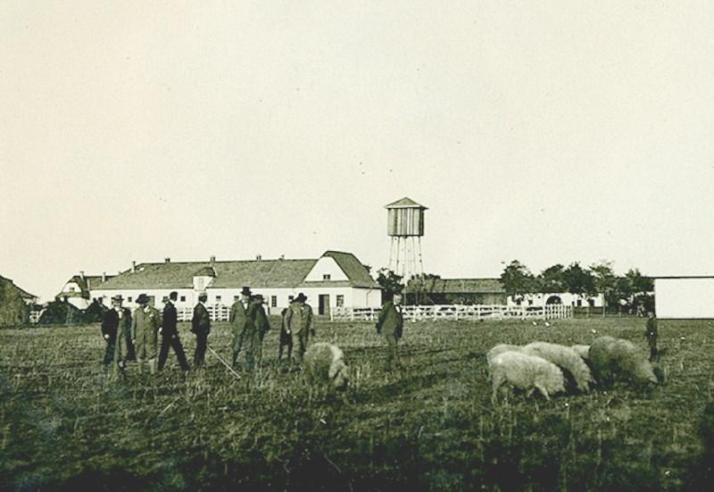 Holt-Körös