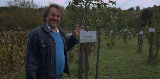 Tündérkert mozgalom minden fának egy viszáki vagy Viszákról elszármazott gyermek a gondnoka.