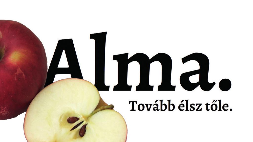 Ez a pepita minta valójában nincs a képen, épp azt mutatja, hogy ott nincs semmi, a képnek az a része átlátszó.