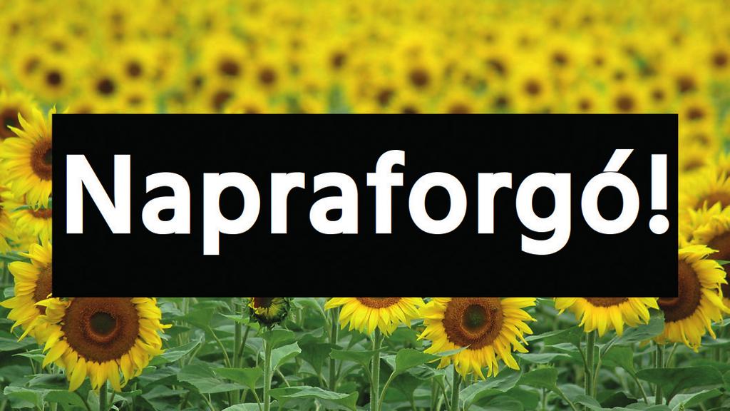 Meg tudunk állapítani szabályt arra nézve, hogy mekkora távolság kell?