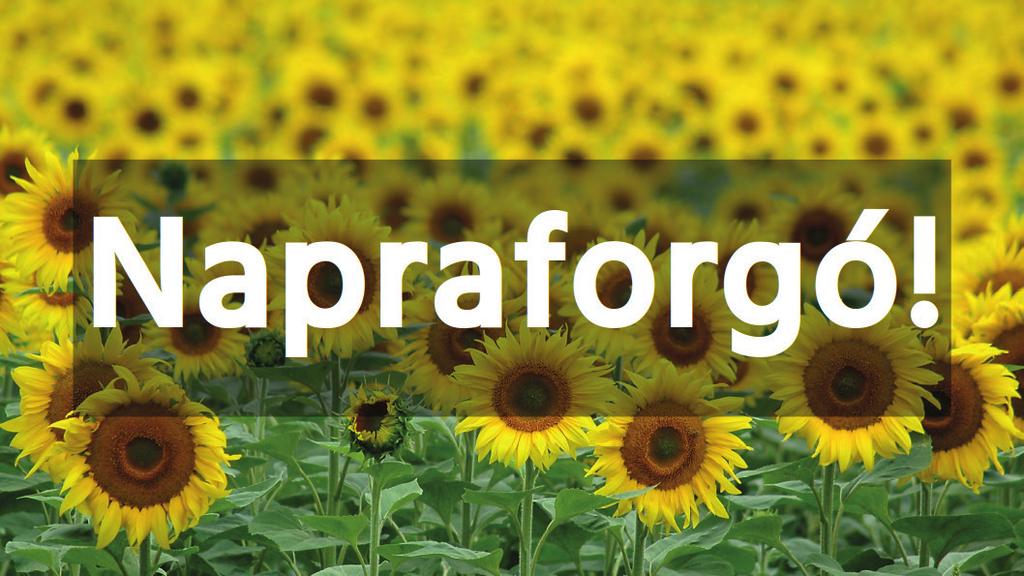 Az átlátszóság mértékének ügyes megválasztásával a felirat is olvasható marad, és a kép is látszani fog.
