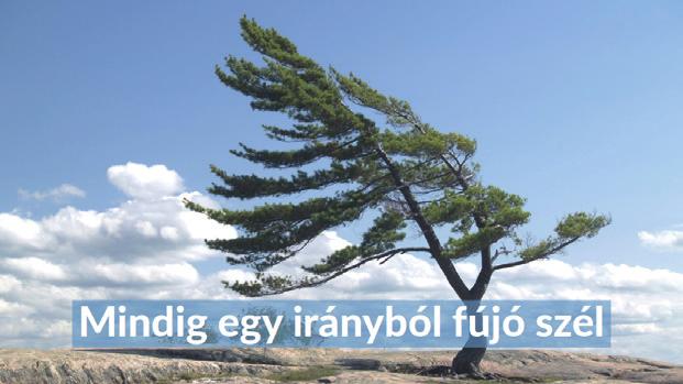 b. Írjuk be a feliratot! c. Keressünk szép, jól olvasható betűtípust! d. A betűszínt állítsuk fehérre! e. Állítsunk be minél nagyobb betűméretet, de a villanyvezetékekhez ne érjen hozzá a felirat! 4.