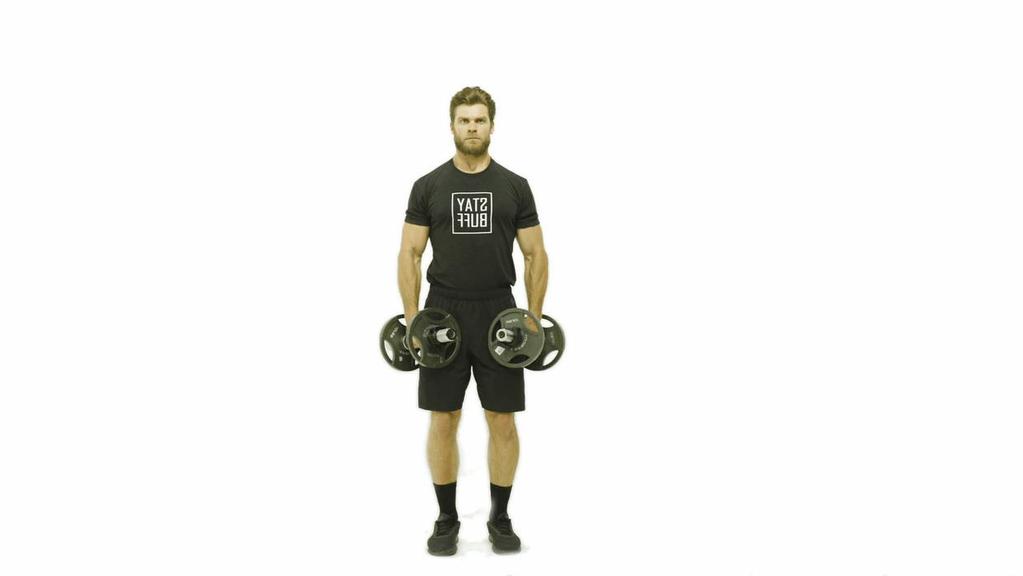 Rotátor köpeny 4 izom: supraspinatus,
