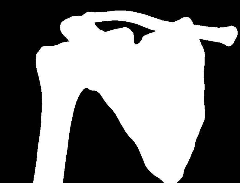 extensio (5 ); abdukció