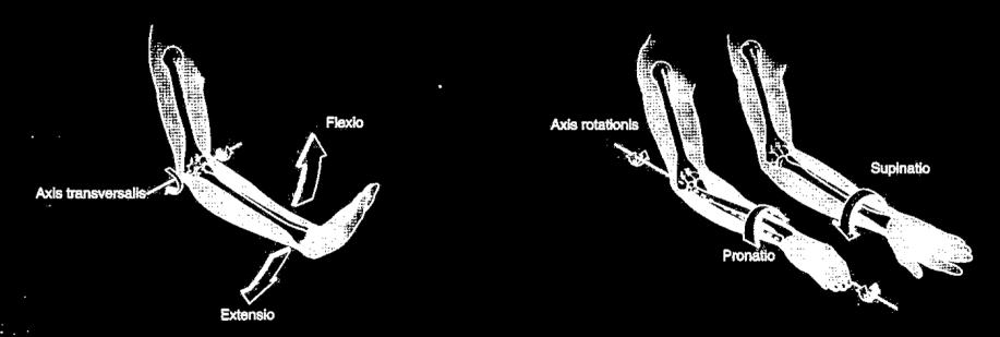flexio (140 )-extensio (0 );