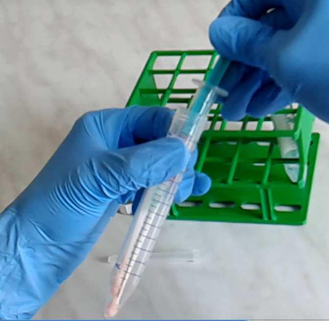 β-laktámantibiotikumok, szulfonamidok nem alkalmasak a mycoplasmosis gyógykezelésére 21 22