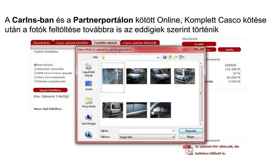 Hasznos tudnivalók