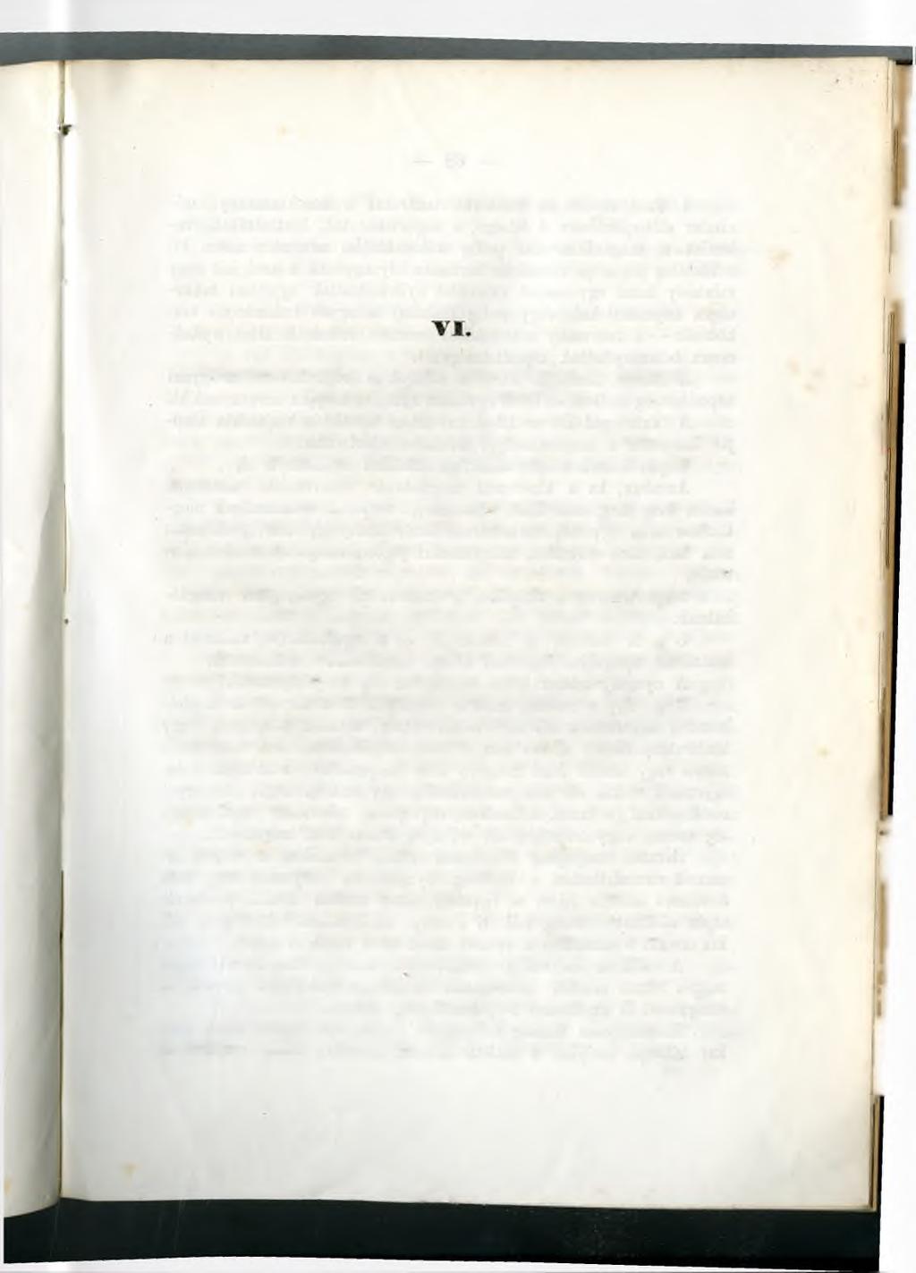 Törvényjavaslat a pesti királyi magyar egyetem újból szervezése tárgyában. Az 1848. évi 19. t. ez.