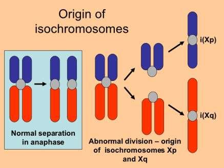 simultaneous duplication and deletion of genetic material.