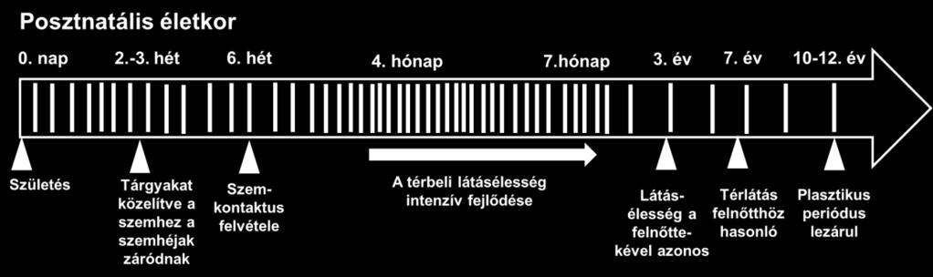 rövidlátás lsd