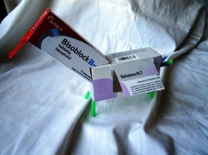 A fiúk a tervezés fázisánál alaposabbak voltak, a lányok a kivitelezésben szorgalmasabbak és pontosabbak.