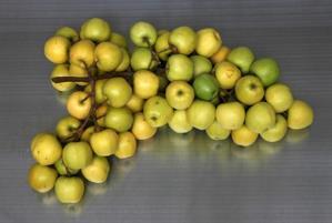 Fejlesztési célok Fejlesztési résztémák, tartalmak Tevékenységformák, módszerek Technikák, eszközök, anyagok Alkotók és művek csoportokba.