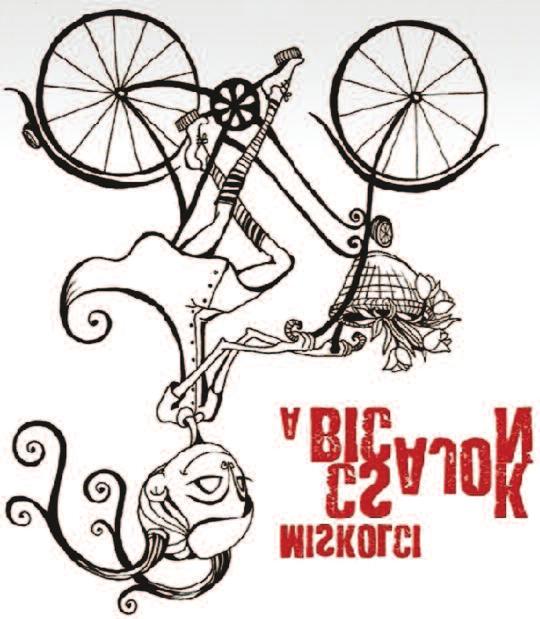 Népszerűsítjük a helybeliek és turisták számára is a városi fenntartható közlekedést, miközben nem vesszük észre, hogy sportoltunk is :) Több turnusban (napi 4 alkalom, ~1-8 embernek) egyórás