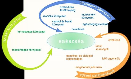 88 7. Egészségügyi szervezetelmélet a már ismert betegségeket korán felismeri és gyógykezeli sürgős szükség esetén elhárítja az életveszélyt krónikus esetben javítja a beteg állapotát szülészeti