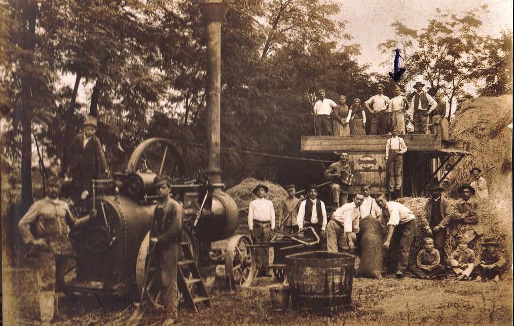 múltunk a fóti cséplőgép mellett dolgozók nők férfiak. Bese József (sz.: 1894.09.17.), a gép tetején, középen áll (kéverakók voltak). forrás: özv. Rózsahegyi Mihályné sz.