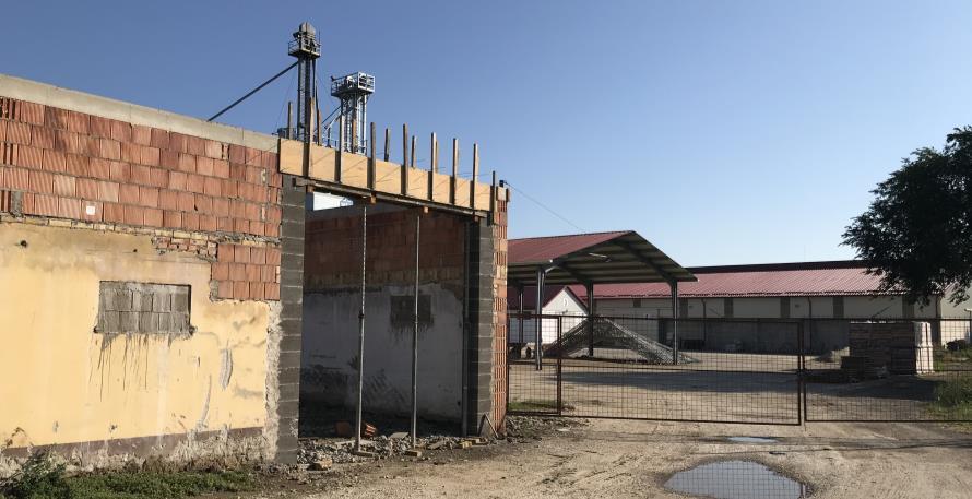 silók előtérben a fedett színnel háttérben a