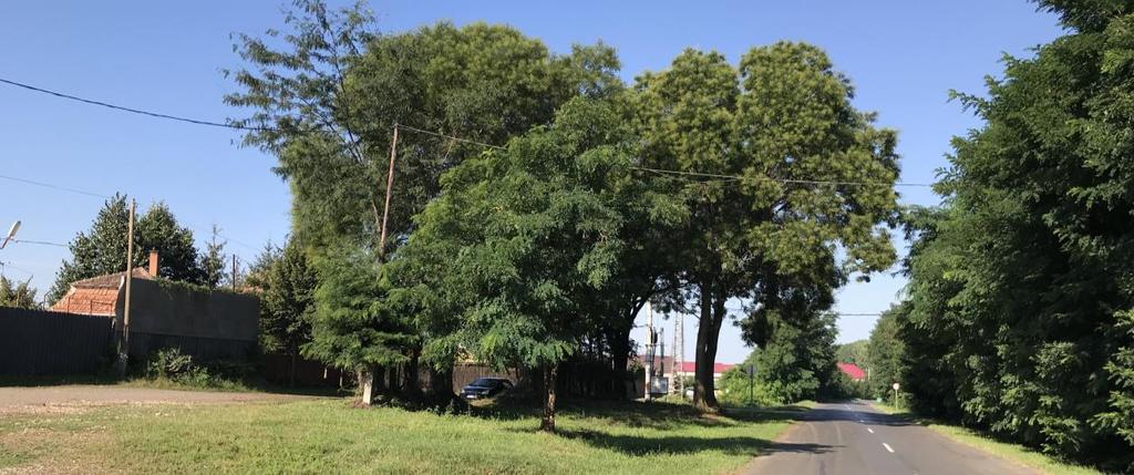gazdasági telephely épületei háttérben a 750 kv -os